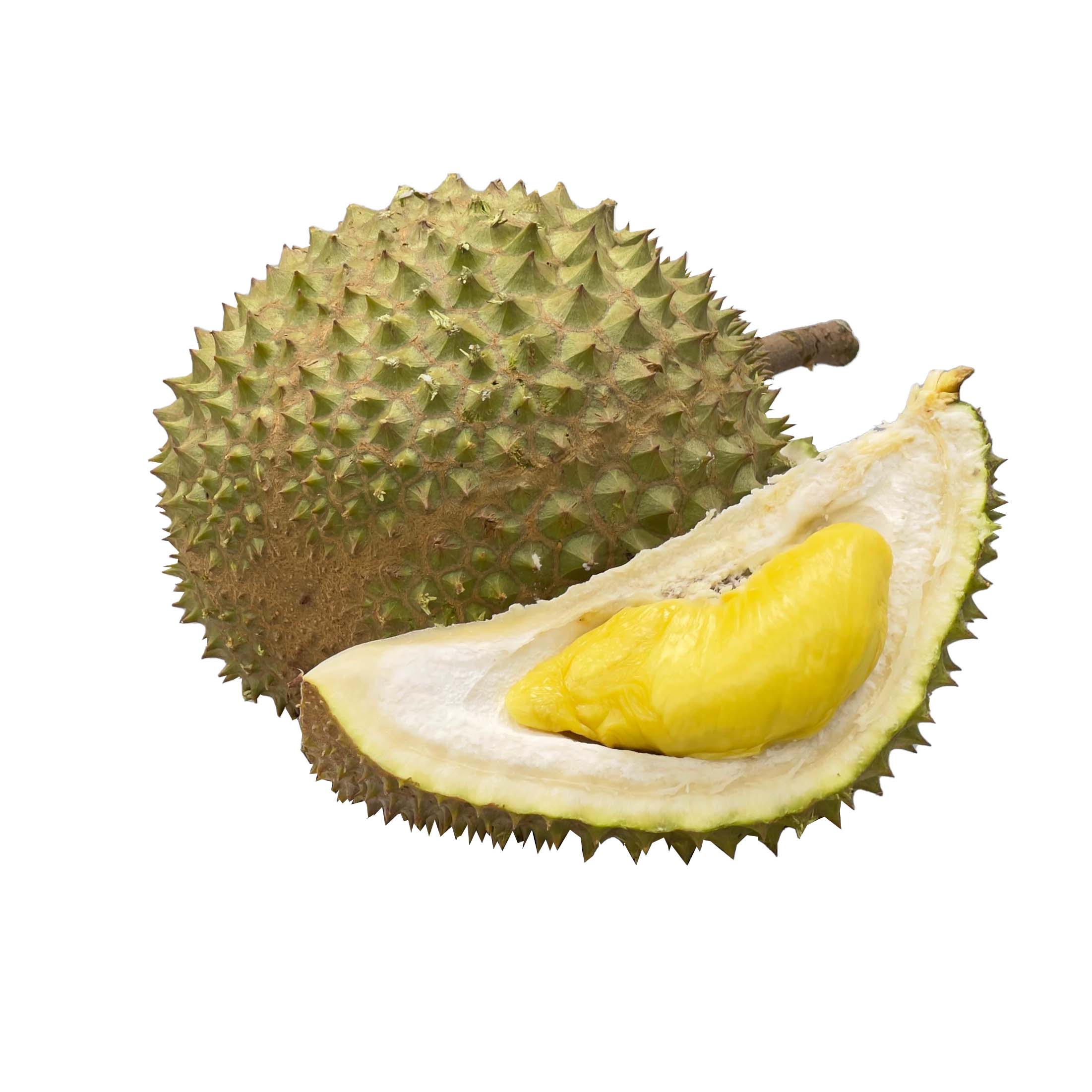 D197 MUSANG KING 猫山王