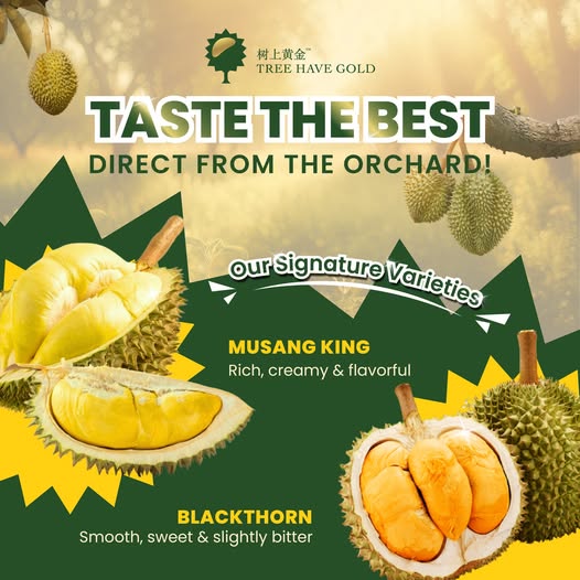 From Orchard to Your Doorstep: How We Deliver the Best Durians Worldwide