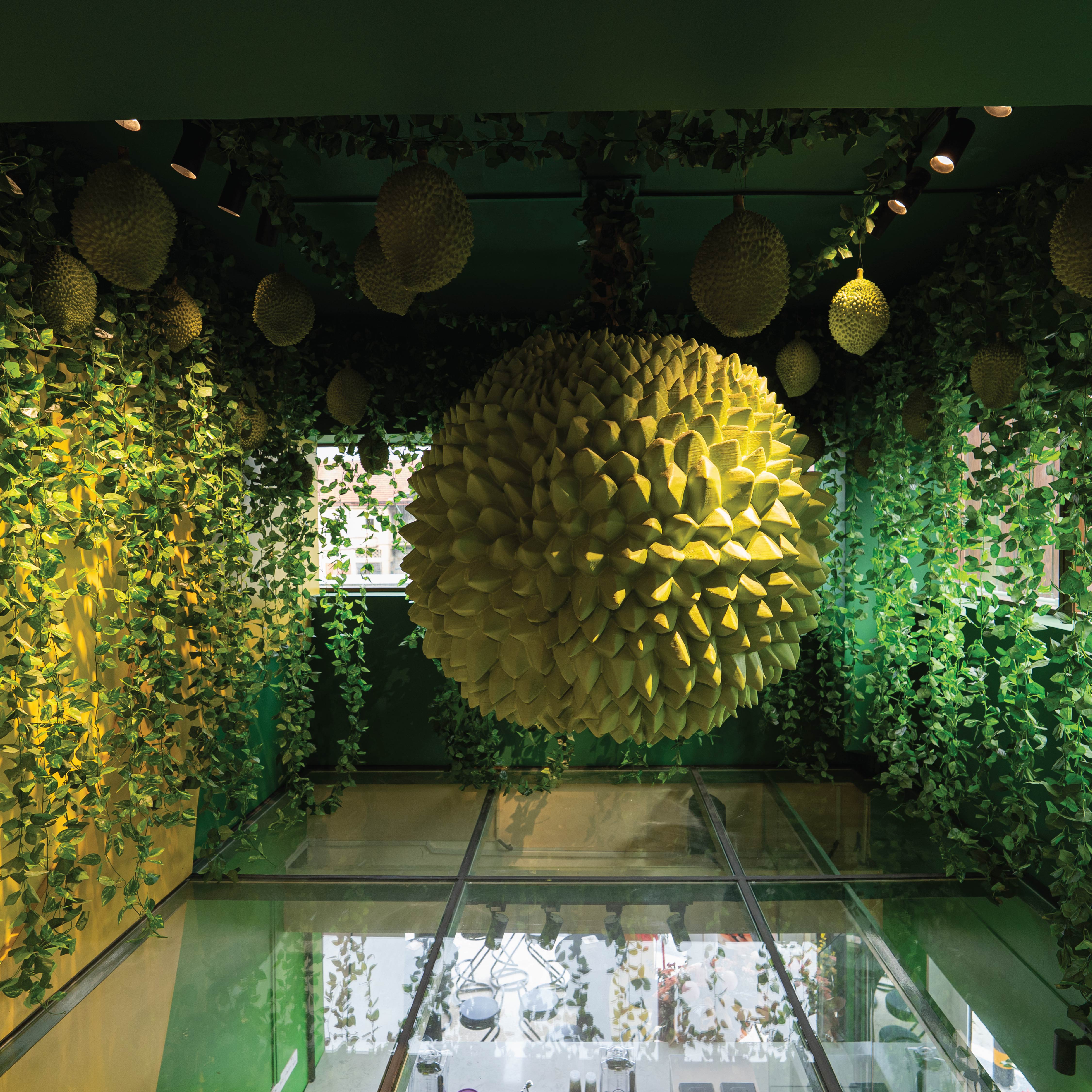 Gallary image